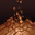 Earth Attack Weak Point (1)
Vulnerable to earth attacks. Earth Attack Weak Point (1)
Vulnerable to earth attacks.